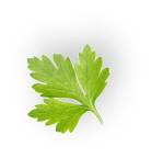 Parsley decoration